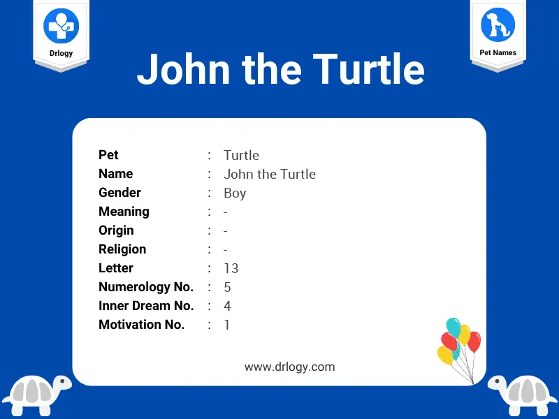 John The Turtle Name Meaning